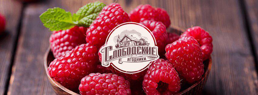 слободские банер